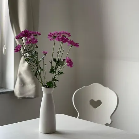 Stadtapartment Kus Apartment