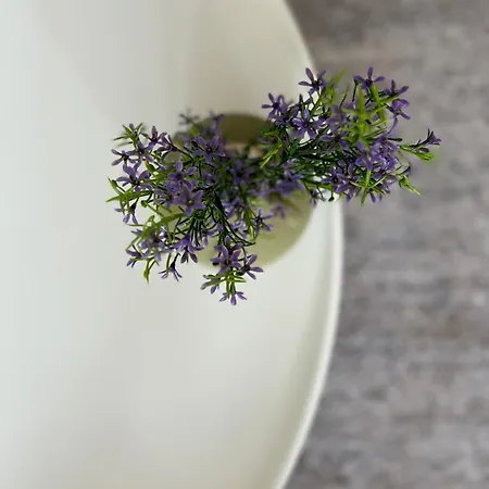 Stadtapartment Kus * Klagenfurt am Woerthersee