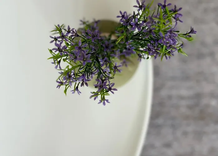 Stadtapartment Kus * קלגנפורט